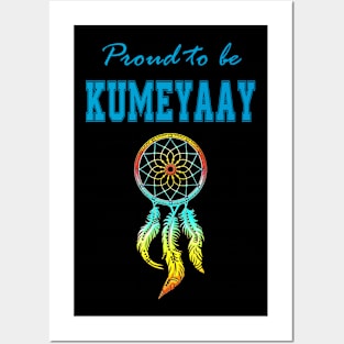 Native American Kumeyaay Dreamcatcher 48 Posters and Art